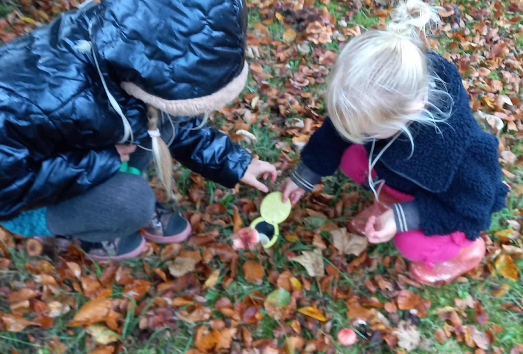 Kopie Samen kijken naar paddestoelen.Anna van Hal Kopie Samen kijken naar paddestoelen.Anna van Hal